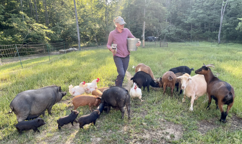 Farming with Disabilities